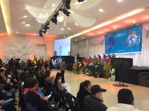 51433398765_af6429e6f1_b-300x225